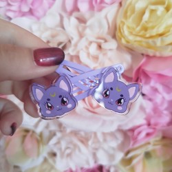 Barrettes chat