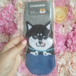 Chaussettes Shiba kawaii