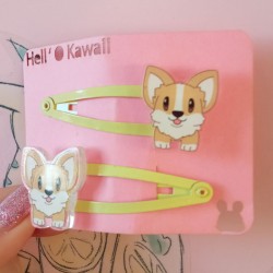 Barrettes petit corgi