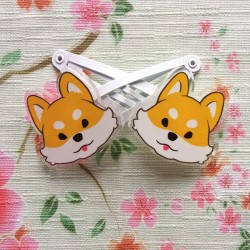 Barrettes shiba