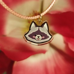 Collier raton laveur